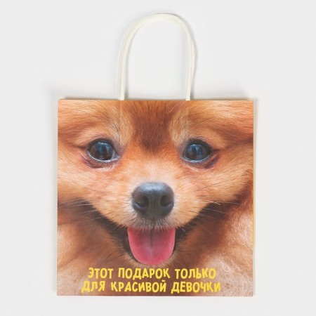 Gift package, packaging, "gift", 22 x 22 x 11 cm-5