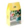 Gift tea "March 8: a bouquet of flowers", taste: forest berries, 20 g