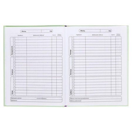 Diary of a solid cover 1-11 grade 48 sheets, "Magic Bank", cover cardboard 7BC, matte lamination, selective UV-lame, cheat sheet-7