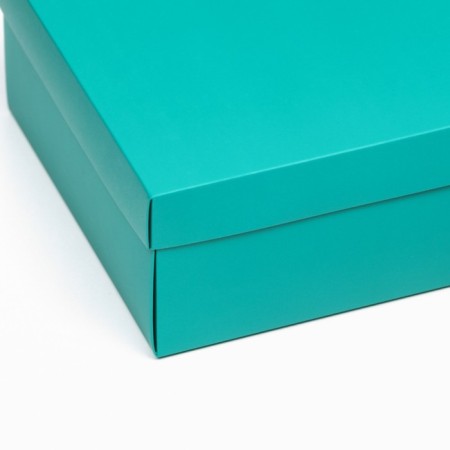 Folding box "Emerald", 30 x 20 x 9 cm-2
