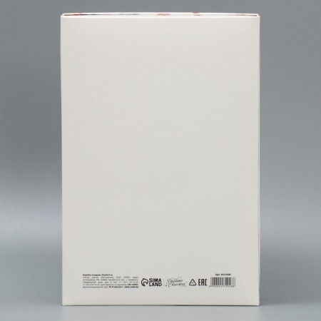 Gift folding box, packaging, "Favorite Educator", 30 x 20 x 9 cm-4