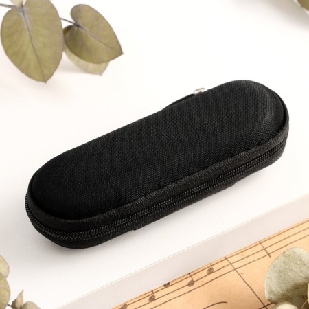 Music Life T008L Clinkle C Diatonic, 10 holes, with a case-5