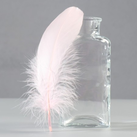 A set of feathers of the goose 13-18 cm, 20 pcs, light pink