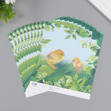 Scrapbooking paper "Chickens on the grass" density 180 grams set 10 pcs 15.5x17 cm-1