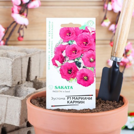 Eustoma flowers "Mariachi Karmin", F1, Terry, 4 pcs
