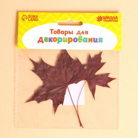 Dry leaves, set 2 pcs., Size 1 pcs: 5 × 7 cm-2