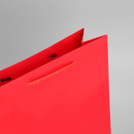 Gift laminated package, packaging, red, m 24 x 29 x 9 cm-7
