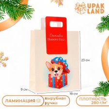 New Year. Gift package with a trim “Best Gift” 18 x 23 x 9 cm.