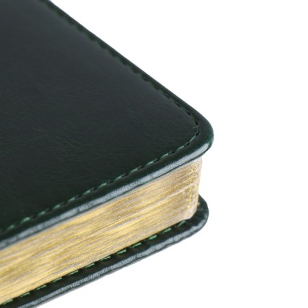 Diary of a low -up A5+, 136 sheets of Sidney Nebraska, solid cover, artificial leather, gold cut, green-7