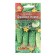 Seeds Cucumber Phoenix plus bee c/n 20pcs