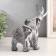 Polystone souvenir "African elephant. Illusion" 8x13x19 cm