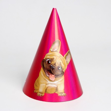 Holographic cap "pugs"-1