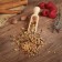 Saber of the swamp rhizome, 100 g