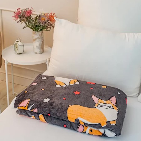 Pacific Freedom Corgi 150x200cm, Aerosoft 190 g/m, polyester 100%-5
