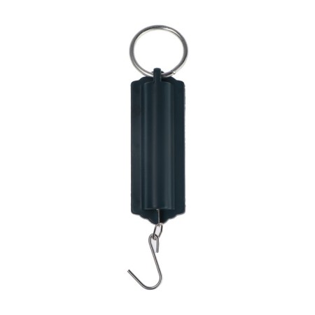 Bezmen Luazon, mechanical, up to 20 kg, division price 500 g, mix-1