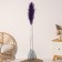 Sukhotzet "Cortery", 1 branch, length 140-150 cm, purple