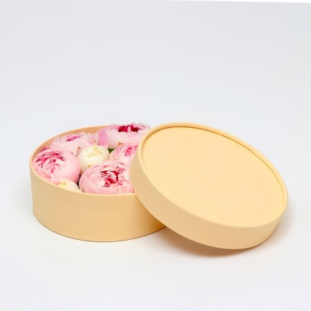 Box - tube 2 in 1, low with a deaf lid "beige", 21 x 7 - 18 x 6 cm-2