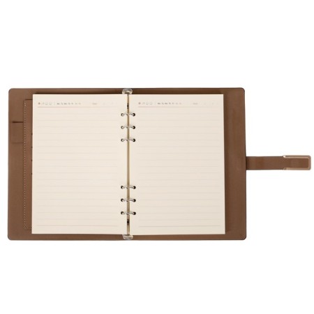 Organizer on the rings A5, 90 sheets in the ruler, with a stream, mix-5