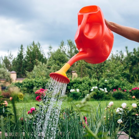 Watering can, 8 l, with a dispatcher, nose d = 25 mm, color mix-11