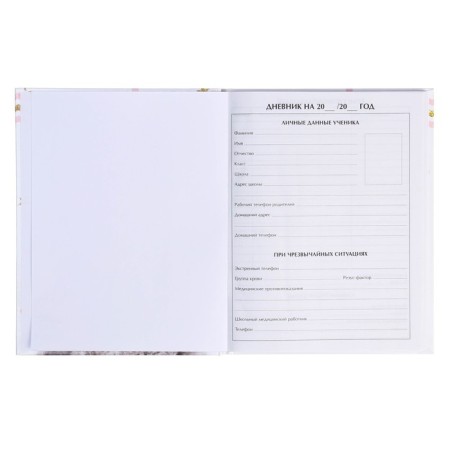 Universal diary for grades 1-11, "kitten with roses", solid cover 7BC, glossy lamination, 40 sheets-4