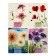 Sketchbook 188 x 259 mm, 24 sheets of stitched Bruno VisConti, beige unit 160 g/m2, mix