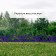 Decorative fence, 35 × 220 cm, 4 sections, plastic, lilac, Modern, Greengo