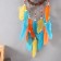 Dreams "Multi -colored feathers and rattan" d = 15 cm 70x15 cm