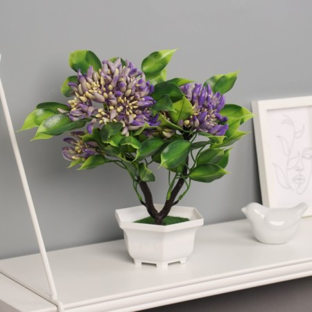 Bonsai in the pot "Ashoka room" 23x11 cm, mix-2