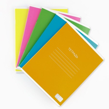 Notebook in a cage, 48 sheets A5 on a paper clip 5 pcs., Inner block No. 1 Mix “September 1: Bright Minimalism” VD LAK-1