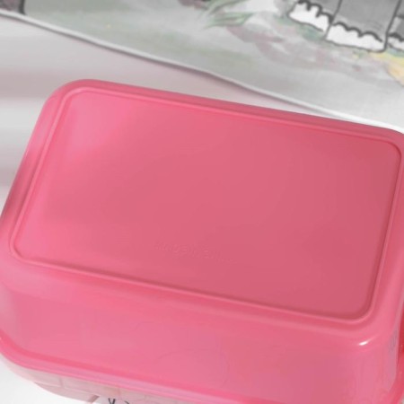 Lancer-Box Plastic with a spoon "Fun", 17.5 × 11.5 × 5 cm, 2 compartments, rectangular, color mix-4