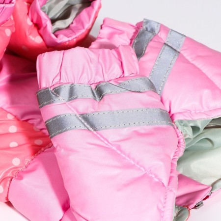 Dogs "Polit", size 14 (DS 27, OG 38, Osh 30 cm), pink-6