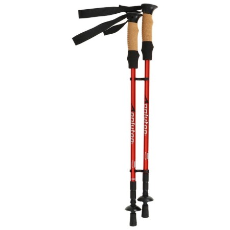 Sticks for Scandinavian walking online, telescopic, 3 sections, up to 135 cm, 2 pcs., Mix color-10