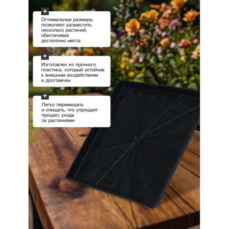 Sattle for seedlings, 21 × 21 × 1.7 cm, plastic, black-4