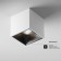 Alfa led ceiling lamp