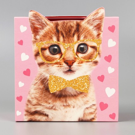 Gift folding box, packaging, “cat”, 15 x 15 x 8 cm-1