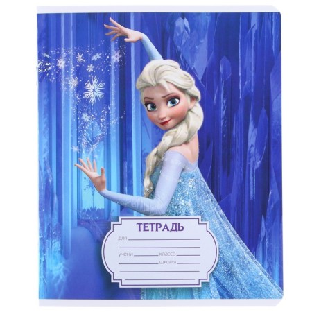 Notebook in a ruler of 12 sheets, 5 types of mix, cover coated cardboard, cold heart-10