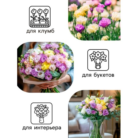Eustoma flower seeds "Super Magic" F1 mixture, o, Darit 8 pcs-2