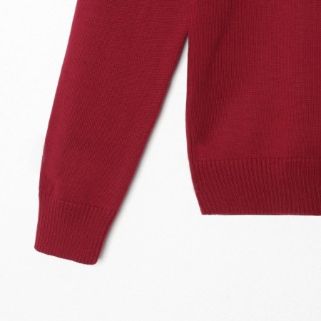 Male jumper SL, 50, burgundy-5