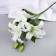 Artificial flowers "Lilia Galant" d-13 cm 66 cm, white