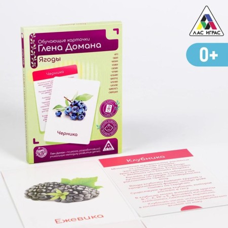 Training cards according to the method of Glen Doman "Berries", 12 cards, A6, in the box