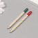 Growing gift pencils Mini "Lion Zev + Clove" set 2 pcs.