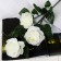 Artificial flowers "Rosa Jeanne" 10x61 cm, white