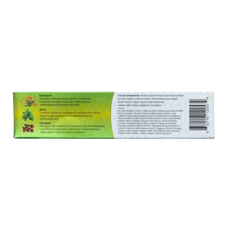 Samhita Toothpaste "Food and Protection", 100 g-2