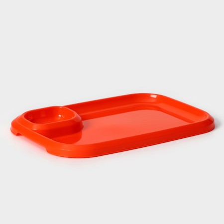 A barbecue dish with a saucer 30.3 × 21 × 2.5 cm, color orange color-1