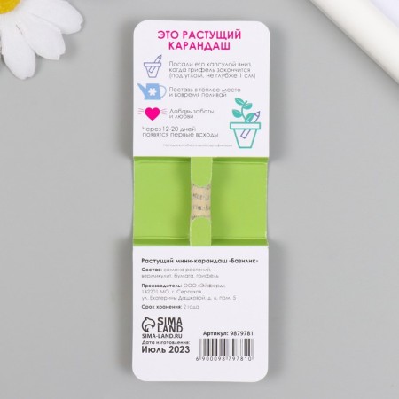 Growing Mini gift pencils grow its salad "Basil"-1