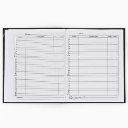 School Diary 1-4 class, in a solid cover, 48 liters "September 1: butterflies"-7