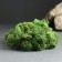 Moss Yagel stabilized "natural green" 100 gr.