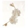 Earrings hanging white