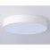 LED ceiling LED Ambrella Orbital Air Alum FV5532, 60W, LED, white color