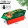 Collective Box -Confep "New Year's balls", 14 x 22 x 8 cm, New Year